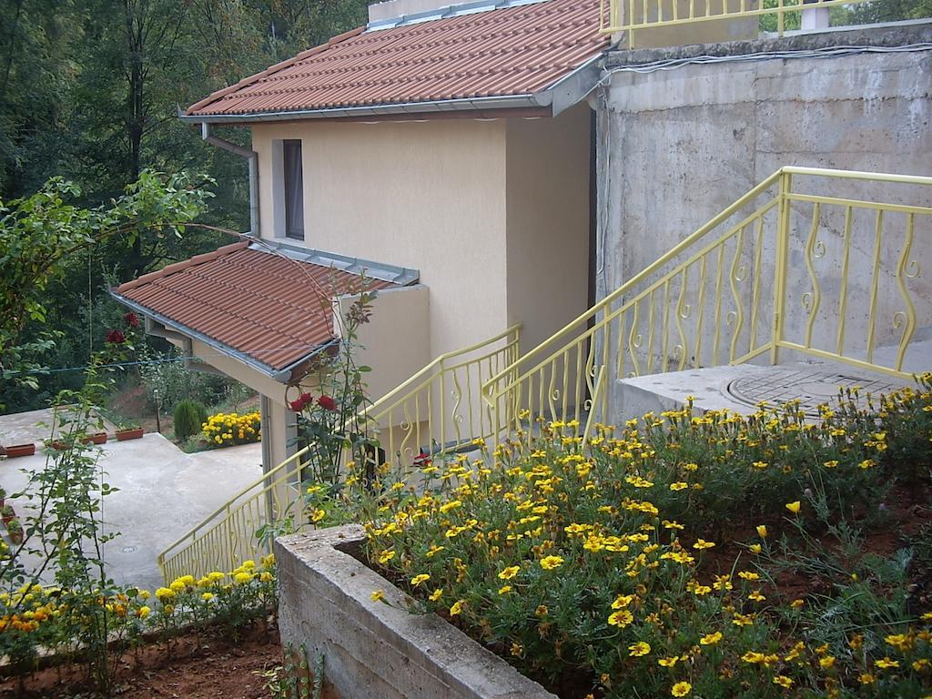 Villa Shipkovo シプコヴォ エクステリア 写真